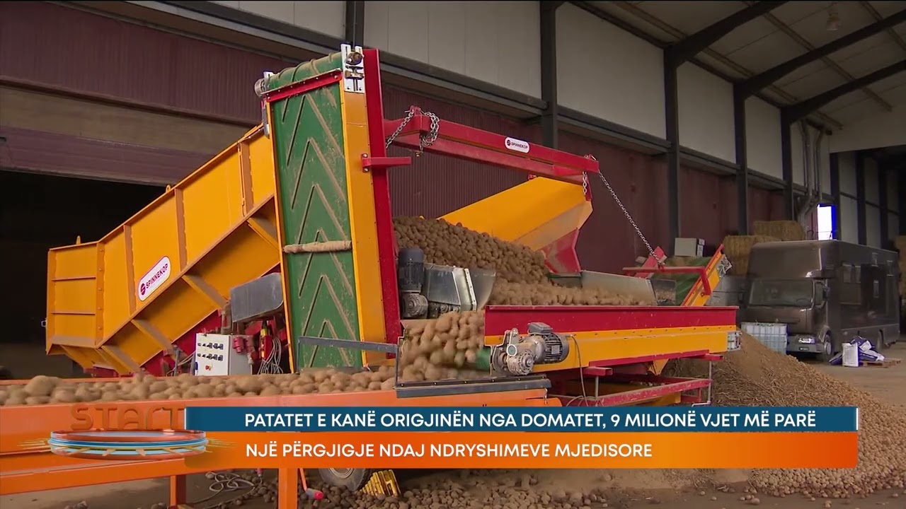 Patatet e kanë origjinën nga domatet, 9 milionë vjet më parë