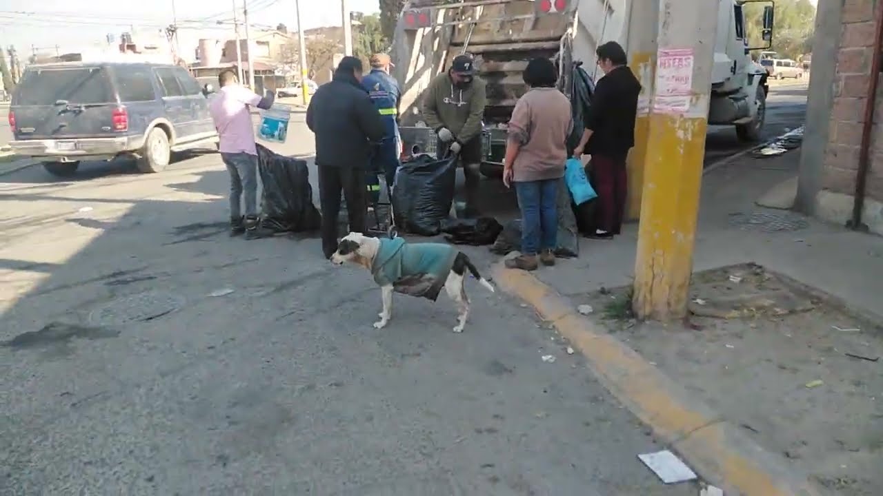 Regreso el camión de basura 03 de Chicoloapan 
