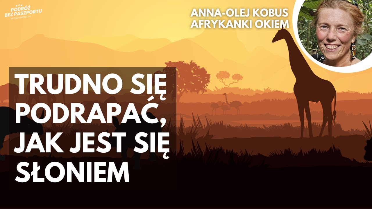 Życie na Safari. Trudno się podrapać, jak jest się słoniem | AfrykAnki Okiem odc. 1