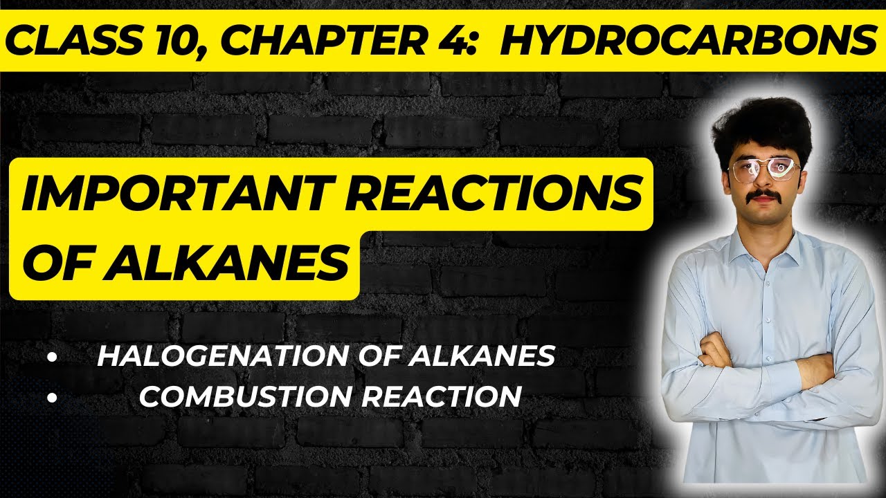 Important reactions of alkanes (Halogenation, combustion) || chapter 4 class 10 || mmk chemistry