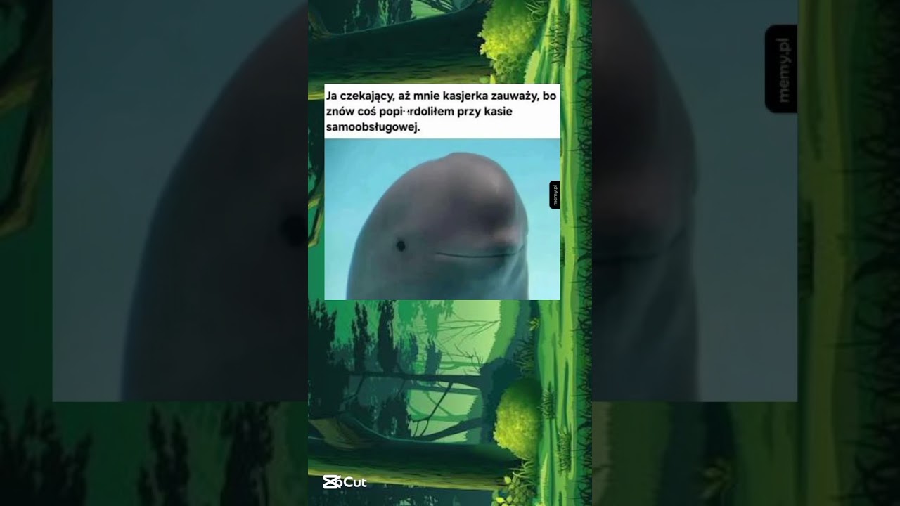 Kiedy kasa samoobsługowa cię pokona 😐🐬 