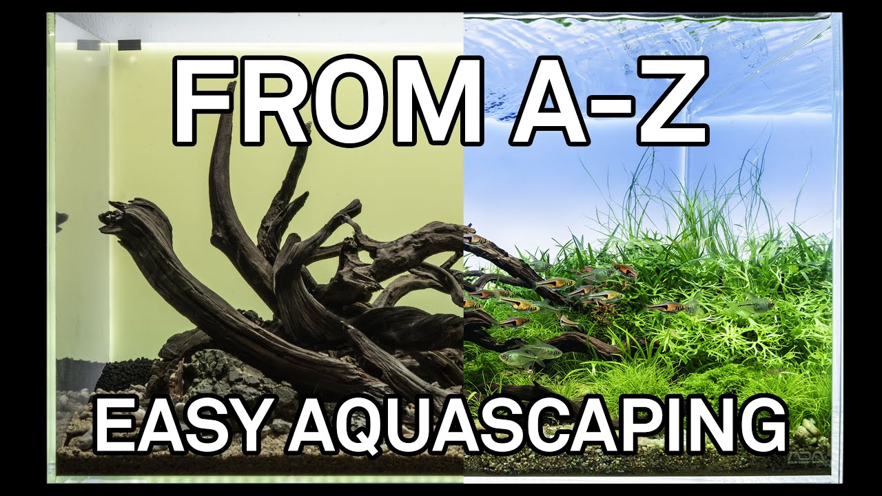 Easy Aquascaping from A-Z - Substrate, Hardscape, Planting, Maintenance & Final Shot