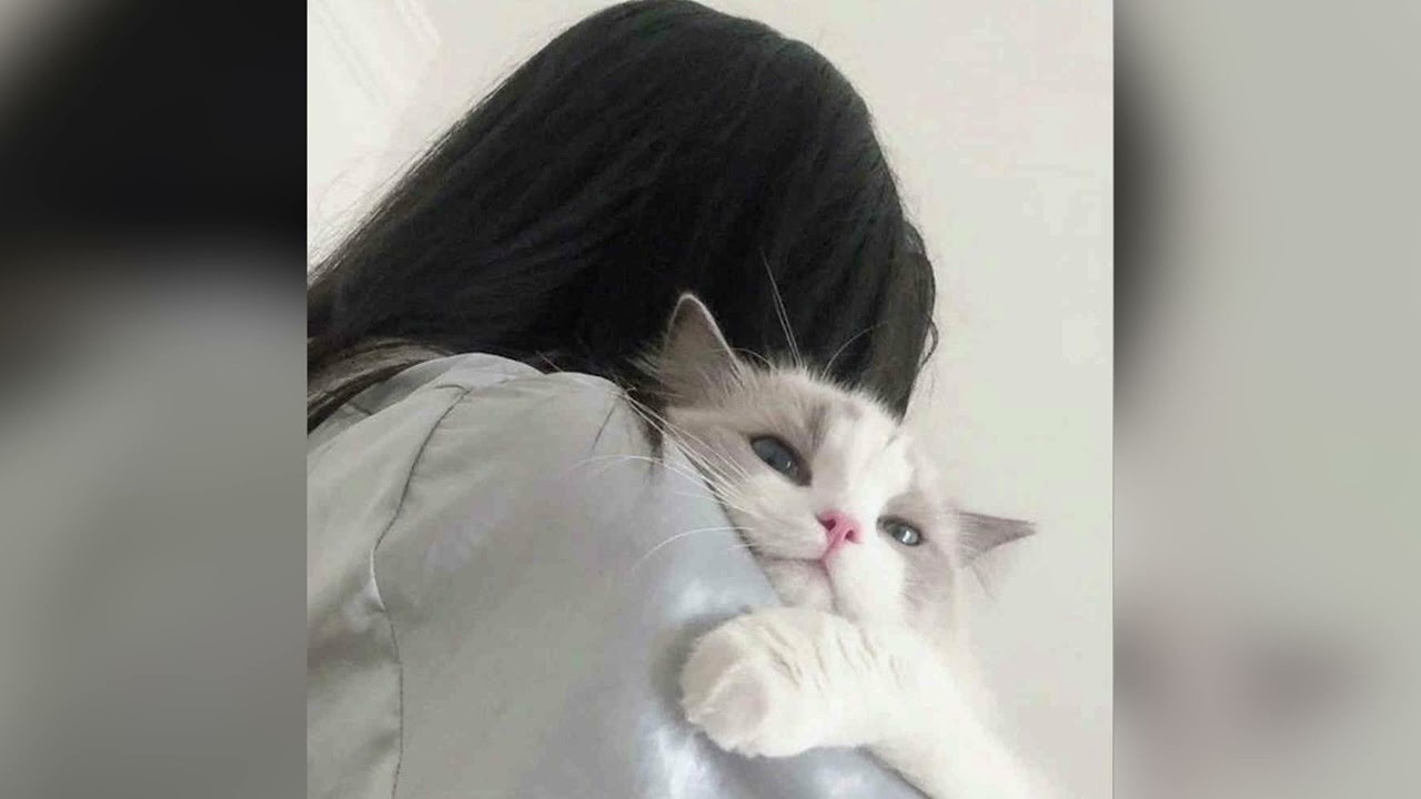 zivve - alone w/ kaido