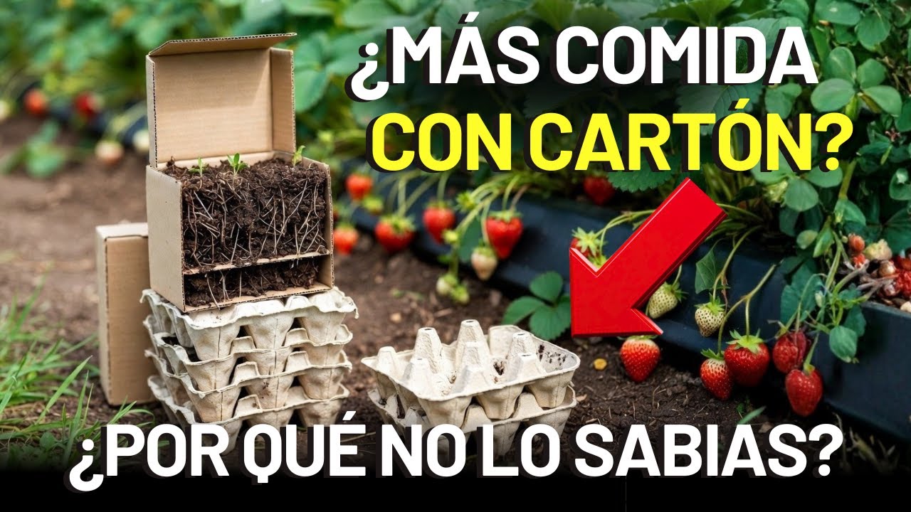 MÁS PRODUCCIÓN, MENOS GASTO: EL MÉTODO CON CARTÓN QUE ESTÁ SORPRENDIENDO A JARDINEROS