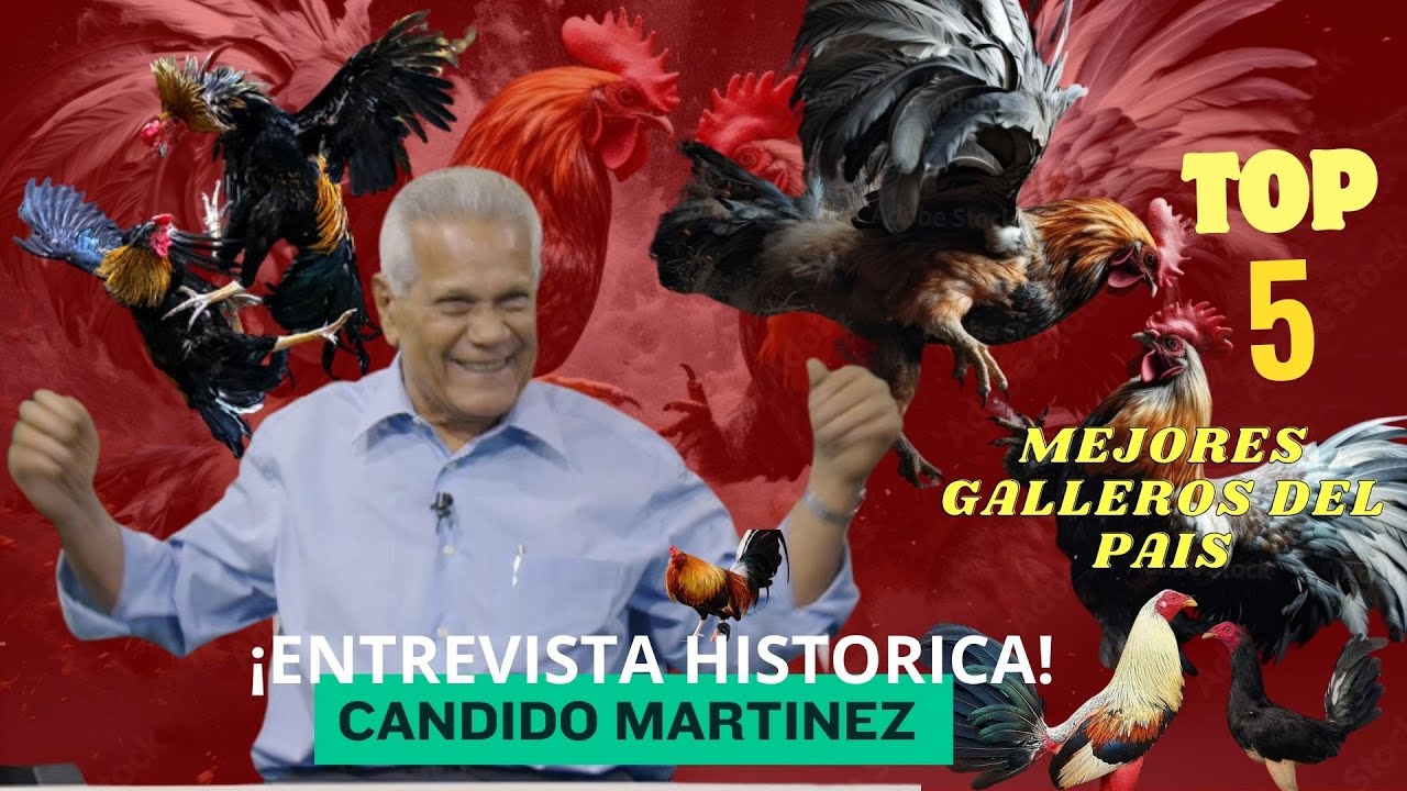 ¡ENTREVISTA HISTORICA A CANDIDO MARTINEZ !  Pionero en el mundo de los GALLOS 🐓 en RD 🇩🇴