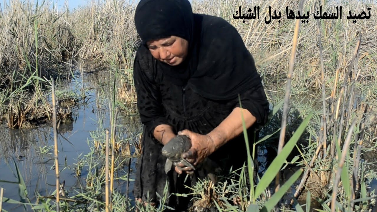 هذا الصيد المعدل الحجية فاطمه وجدت سمك داخل حفر صغيره وسط المياه واستعملت صوت الجذب الأسماك