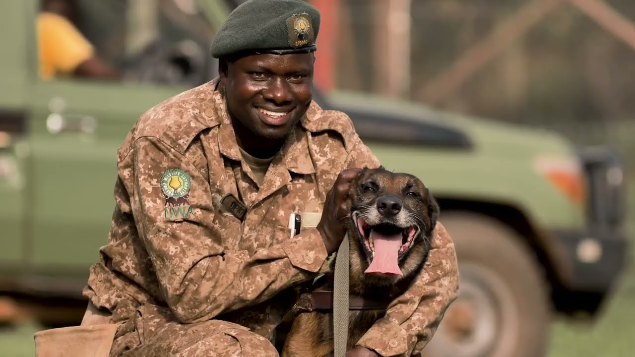 Canine Unit | Uganda Wildlife Authority