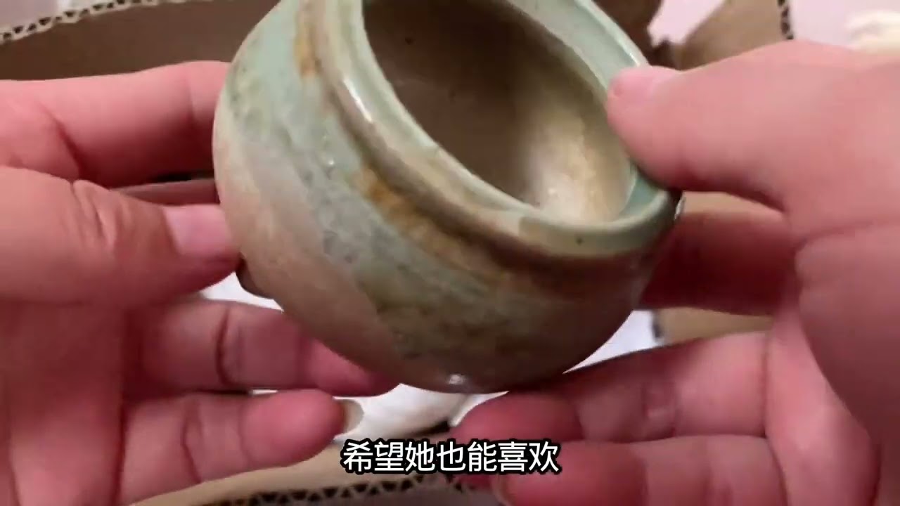 送出一盘多肉叶插小可爱和一个拇指盆 #多肉叶插 #拇指盆 #多肉爱好者