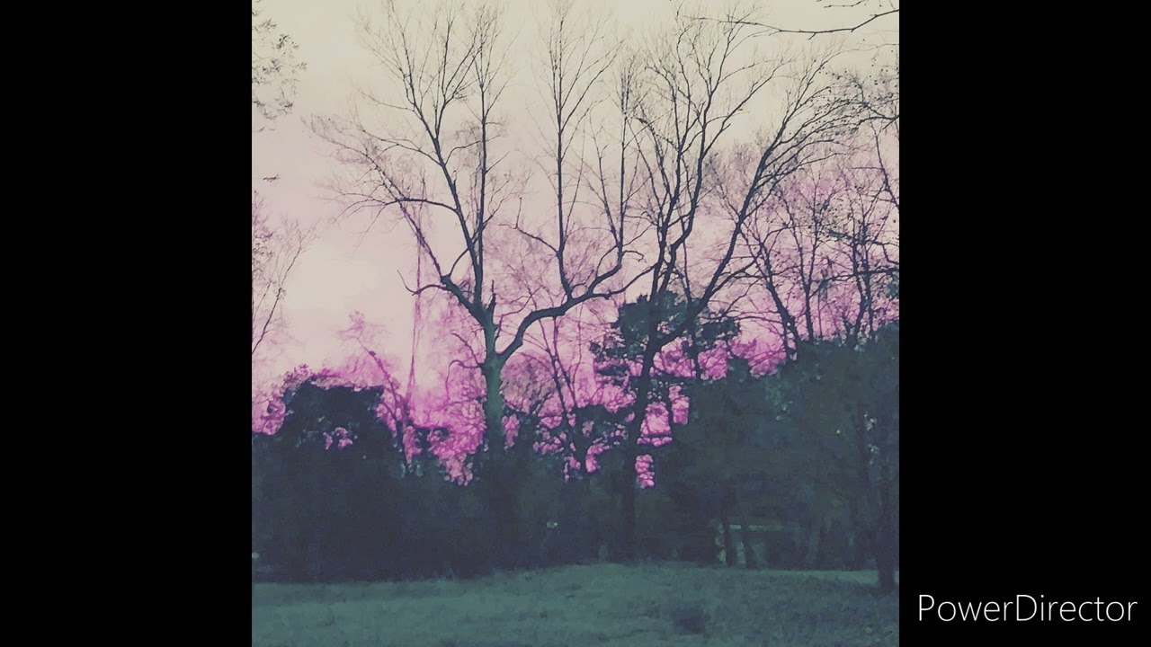 DShaw! - Soundtrack B
