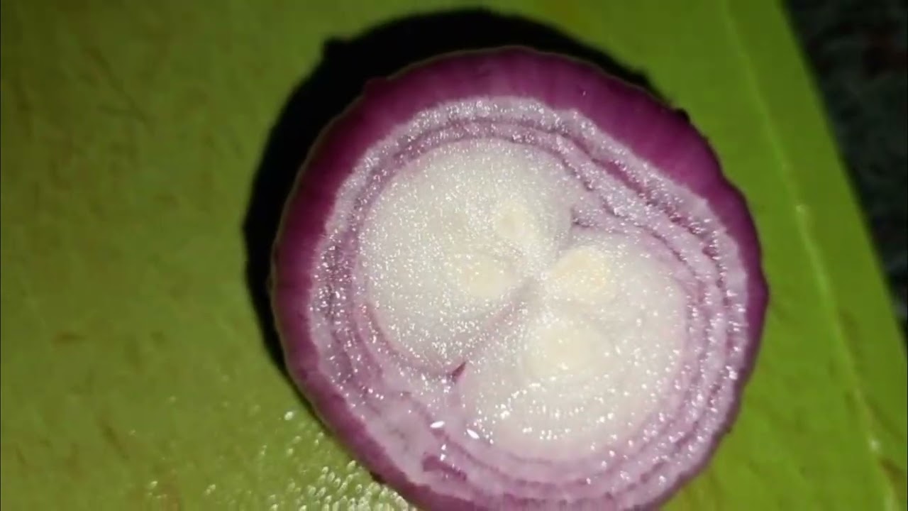 ढाबा स्टाइल मटर पनीर | एकदम नरम पनीर😋😋👌