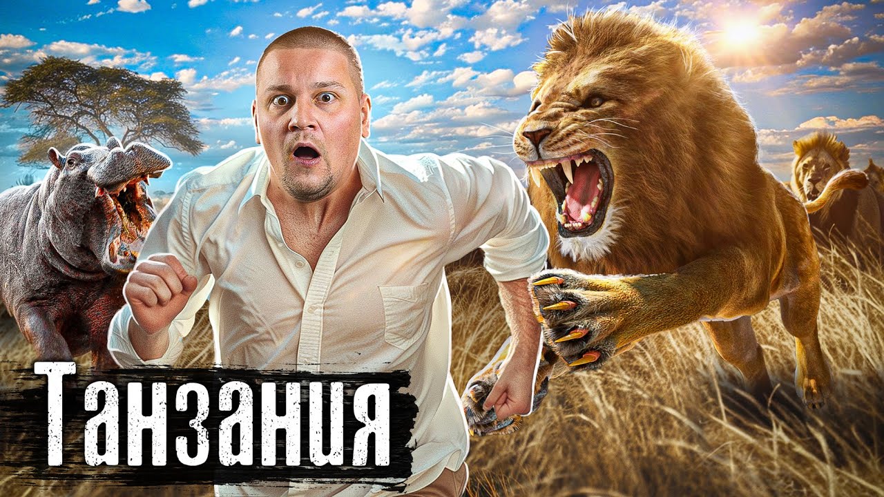 Сафари в Африке: Дикие животные с 2 метров / Как Люди Живут / Лядов @anton_lyadov