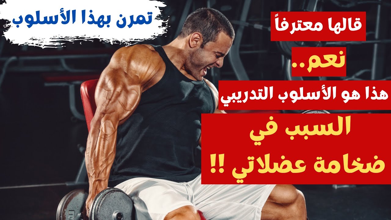 التدريب الألماني كمال الاجسام للقوة و الضخامة العضلية German Volume Training