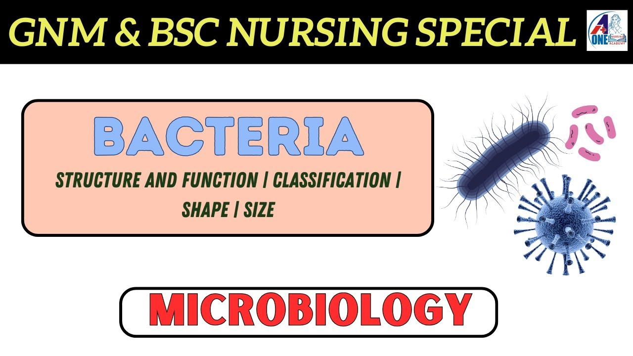 Bacteria in Hindi | Microbiology | Structure | Function | Shape | Size