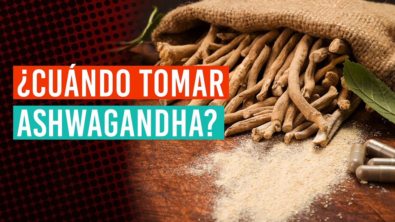 Ashwagandha en la esfera sexual | ¿Cuándo tomar? ¿Cómo se debe usar?