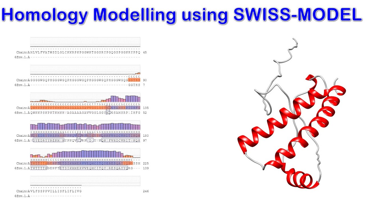 Homology Modelling using SWISS-MODEL #bioinformatics #protein #structure #pdb #rcsb #molecular