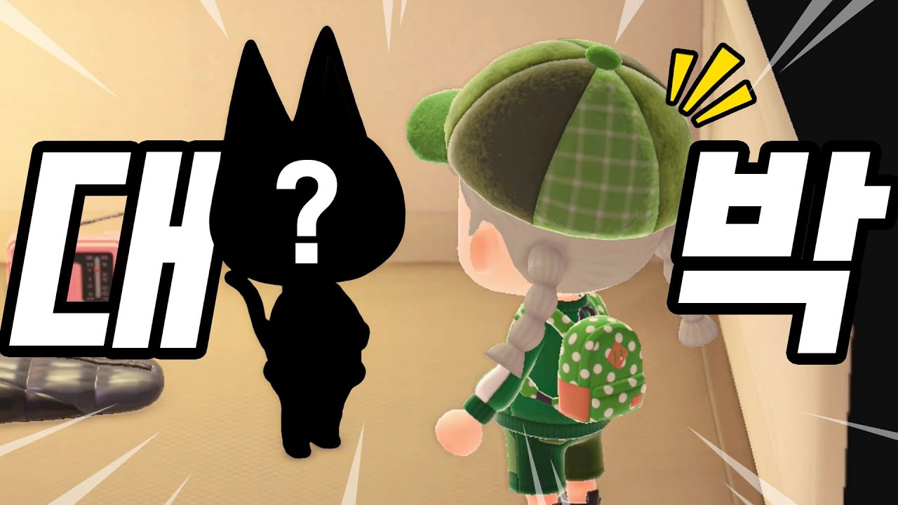 캠핑장에 찾아온 레전드 주민, 결국 데려왔습니다