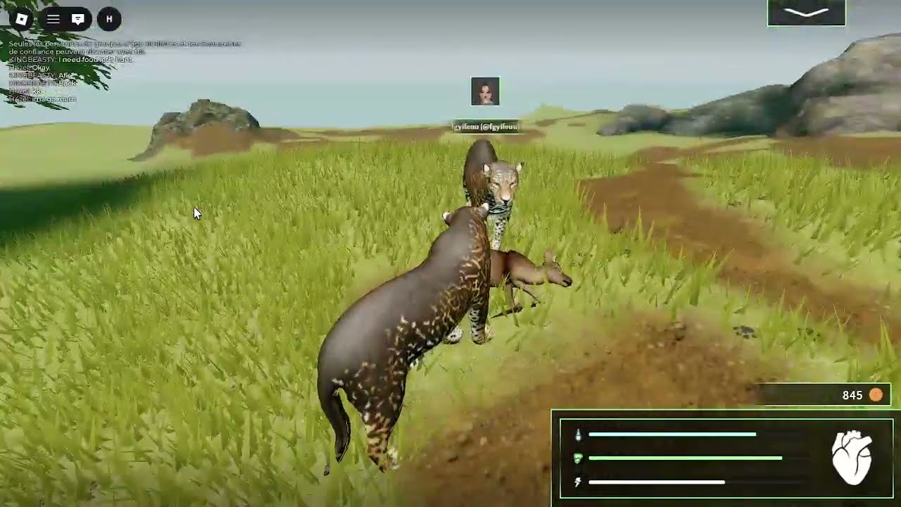 Jaguar Gameplay 🐆🔥 | Amazonian Survival