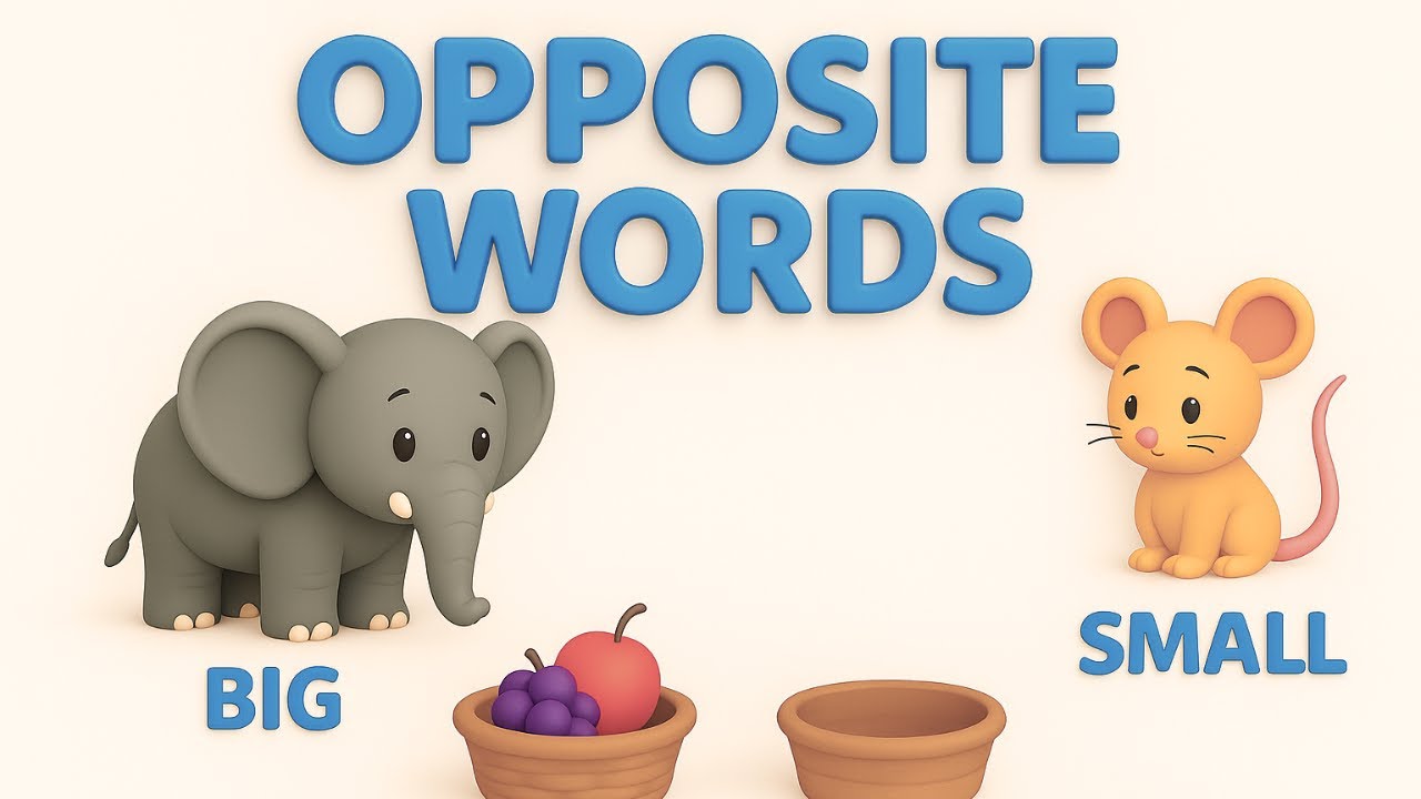 Learn Opposite Words for Kids | Toddlers | Kindergarten  Fun Preschool Educational Video - Part 1