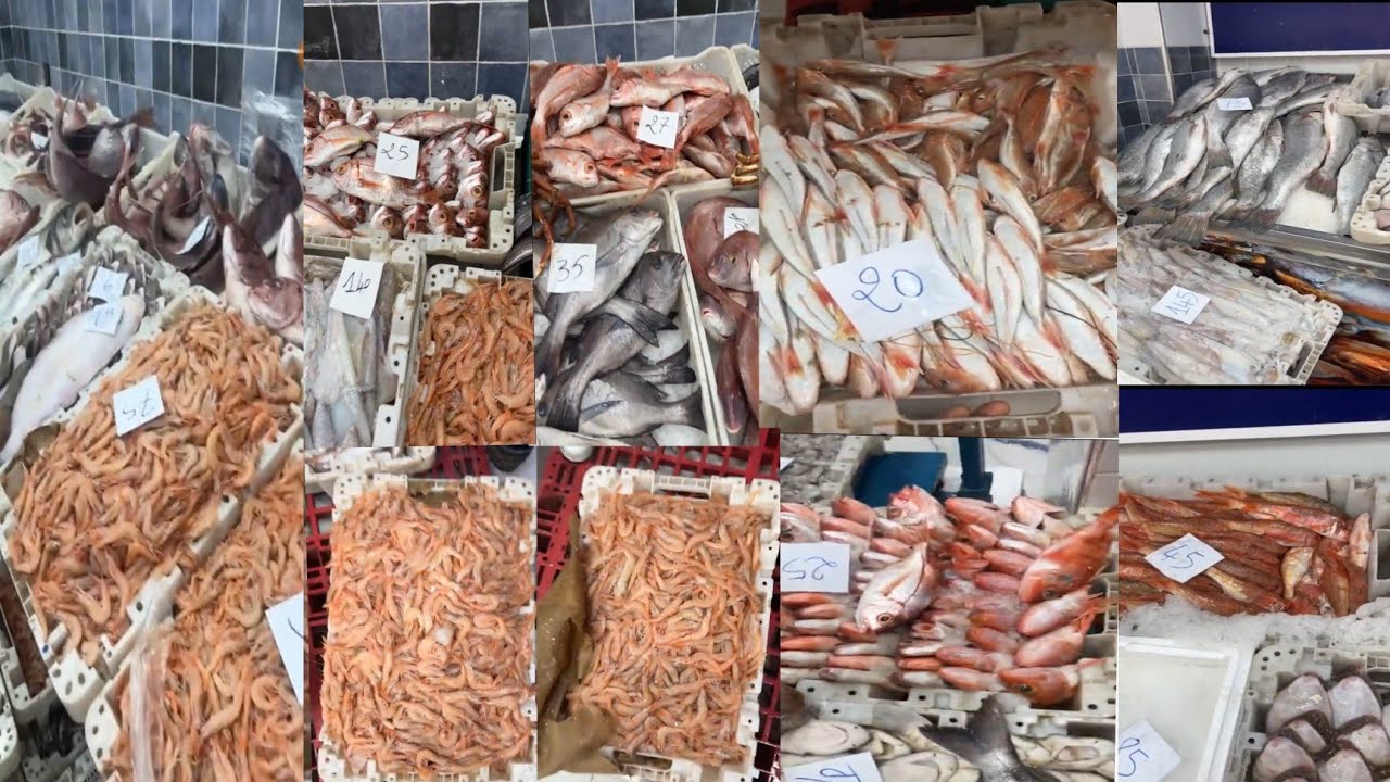ثمن السمك بالمغرب🐠🦐اليوم الخميس 21 يناير 2026#المغرب🇲🇦#سوق_المغربPoisson de qualité à prix abordable