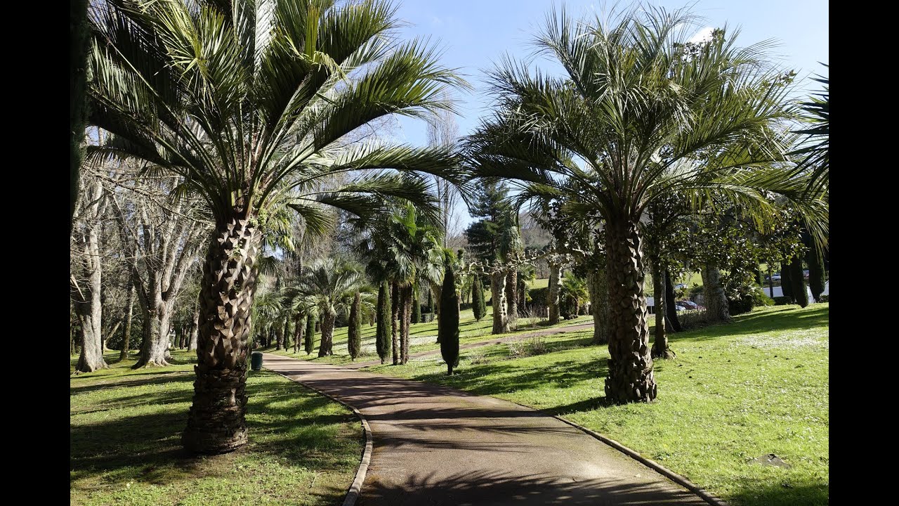 PARC & JARDIN DE LA CURE THERMALE © CAMBO LES BAINS