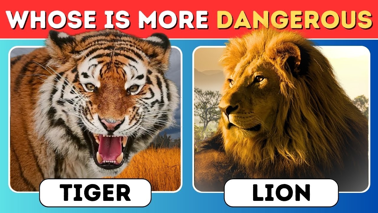 Can You Survive a Jungle? Animal Danger Quiz | which animal is more dangerous