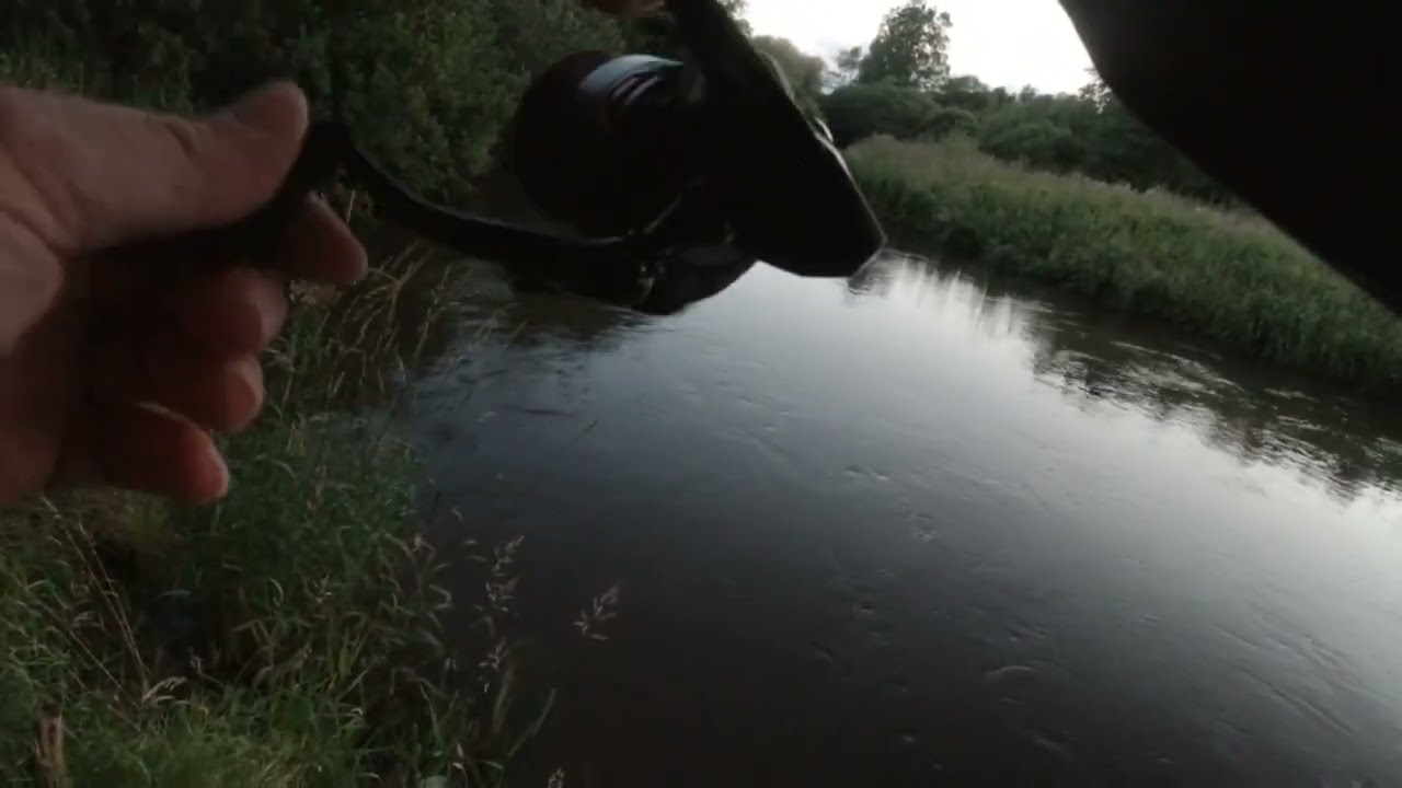 Skjern å havørreder D 19/7-23. 3 mistet et godt hug og en i nettet 🐟