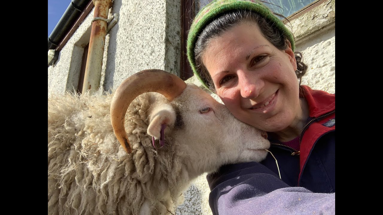 A Visit with Rachel on Fair Isle - The Woolly Thistle: Postcard #1