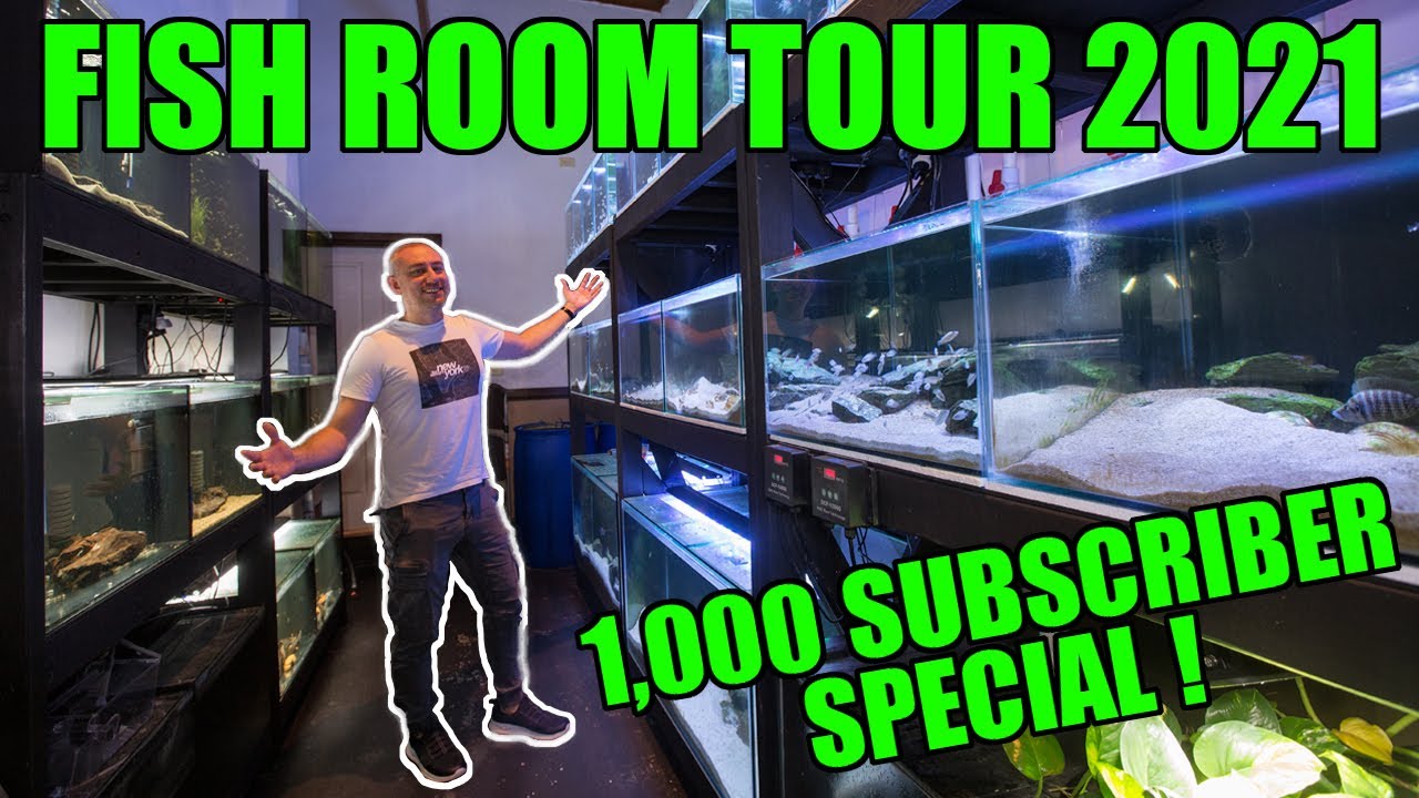 Full Fish Room Tour 2021 - Lake Tanganyika Cichlids!