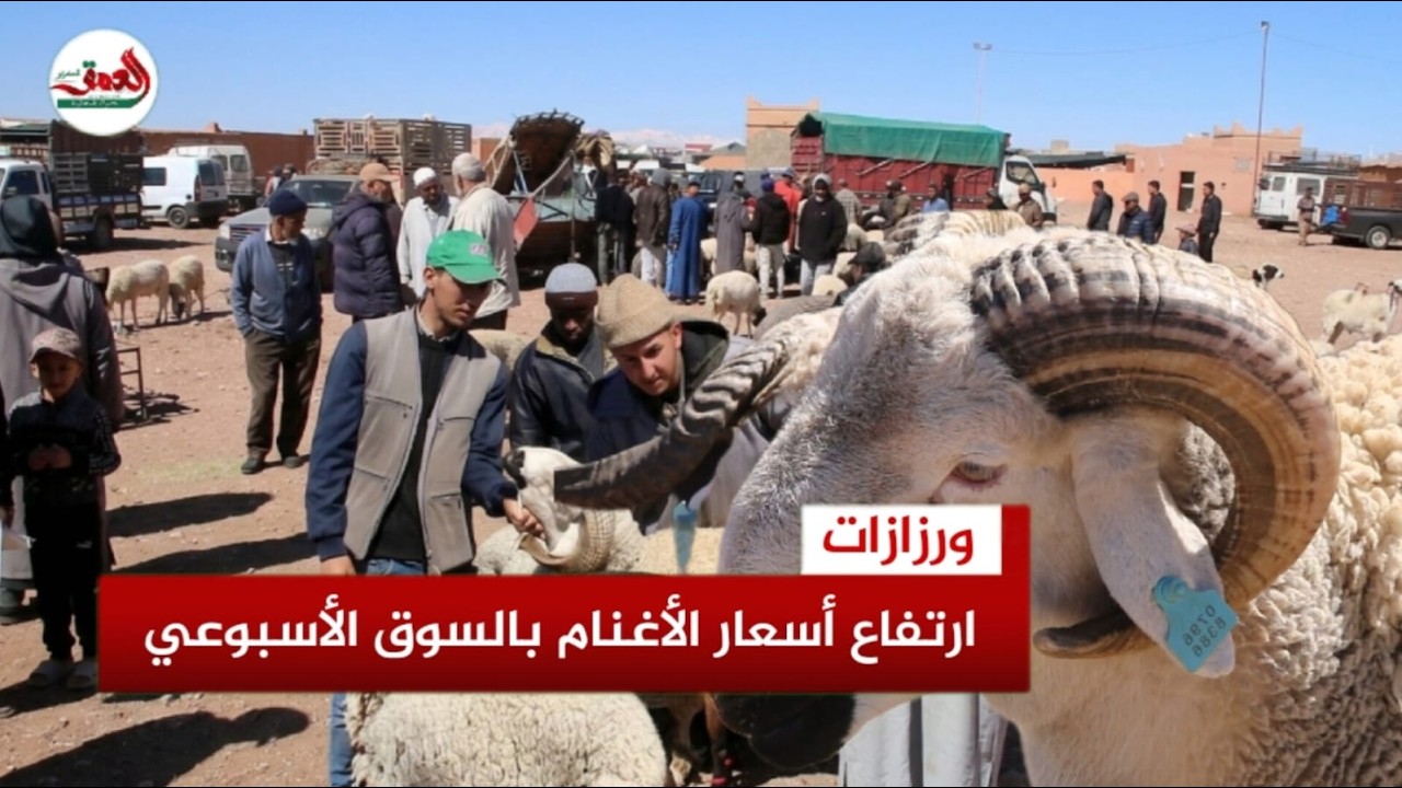 ارتفاع أسعار الأغنام بسوق الأحد بورزازات وسط محدودية الكسيبة
