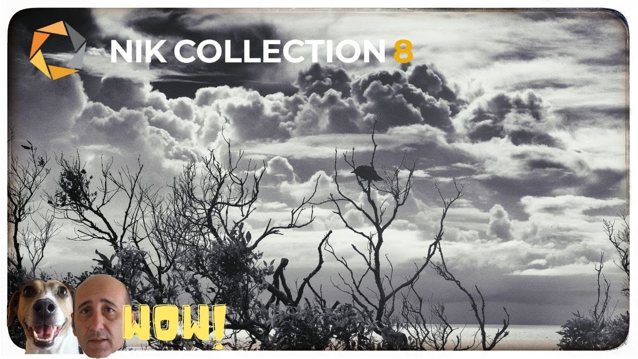 DXO Nik Collection 8 - First Impressions and Walkthrough