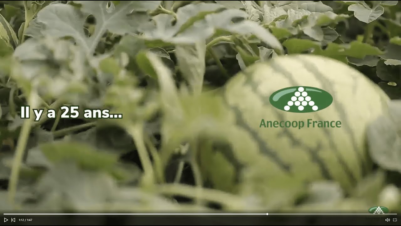 ANECOOP FRANCE - l'excellence des fruits et légumes espagnols