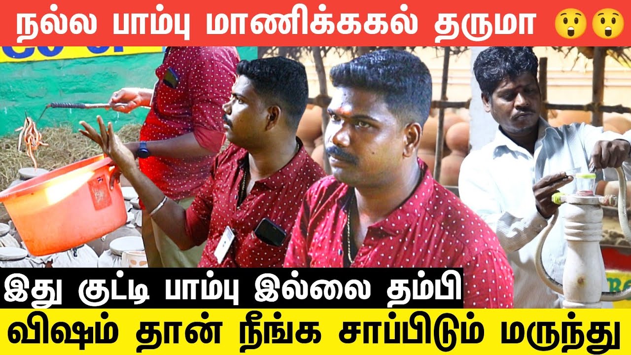 இந்தப் பாம்பு மட்டும் ஒரு மணி நேரம்தான் டைம் கொடுக்கும் | Irula Tribal | Crocodile Bank Sneke Park