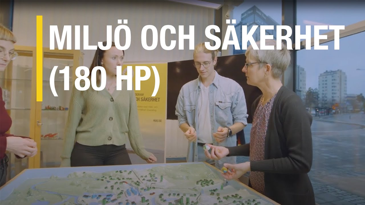 Milj&ouml; och s&auml;kerhetsprogrammet