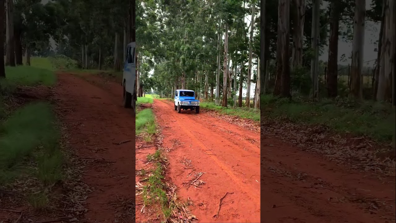 Tudo para a sua Rural Ford Willys voc&ecirc; encontra aqui na Jipebras