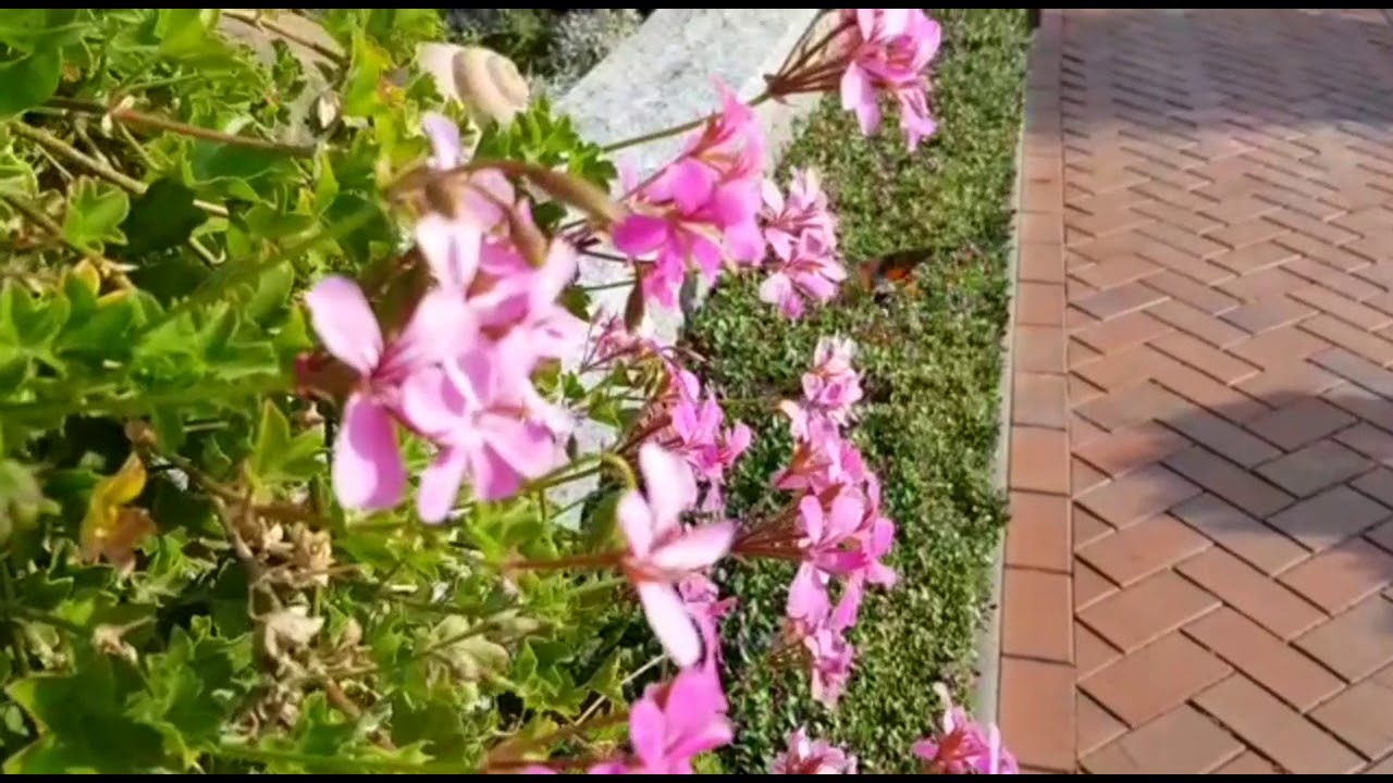 WAS IST DAS? SELTENES TIER GESICHTET