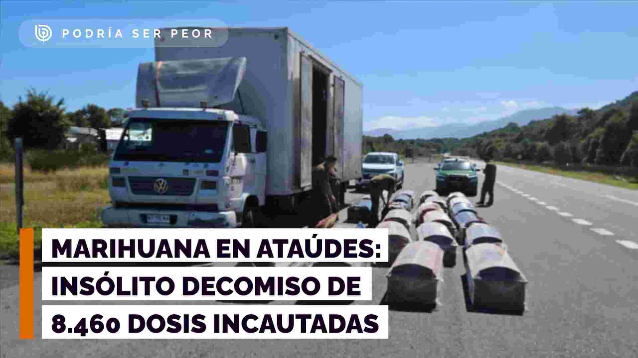Marihuana en ataúdes: Mayor detalla insólito decomiso de 8.460 dosis incautadas en Carretera Austral