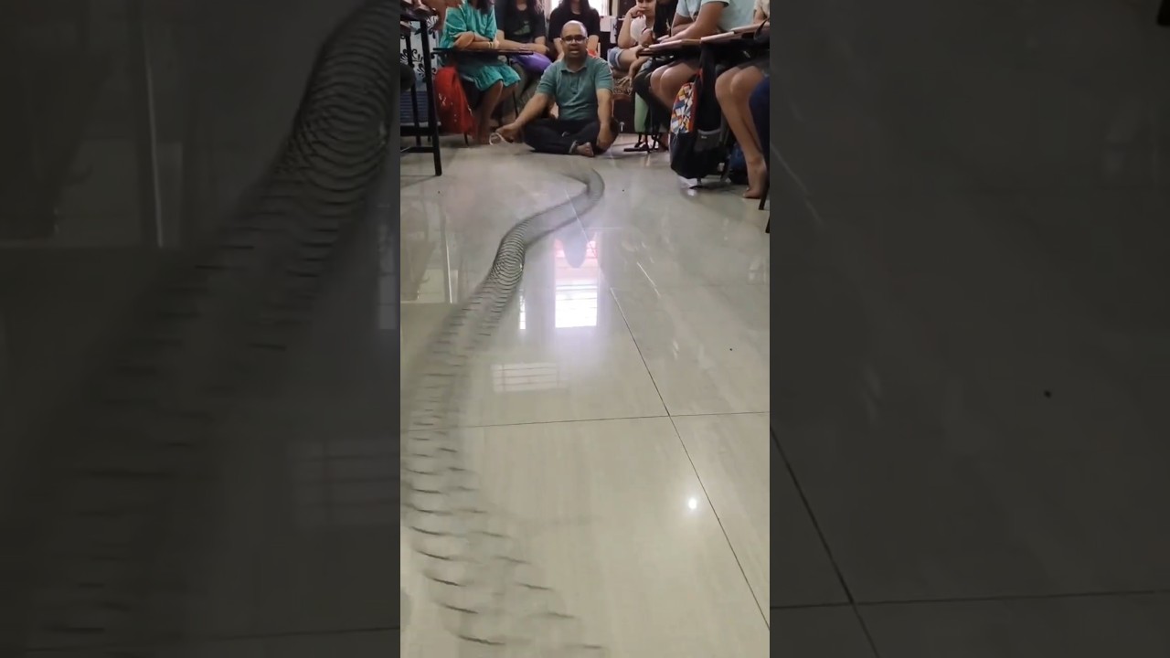 #wavemotion