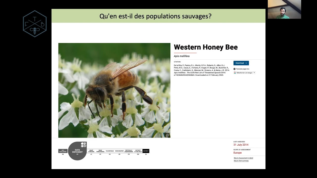 Fabrice Requier : Connaissances sur les populations sauvages d’abeilles mellifères en Europe