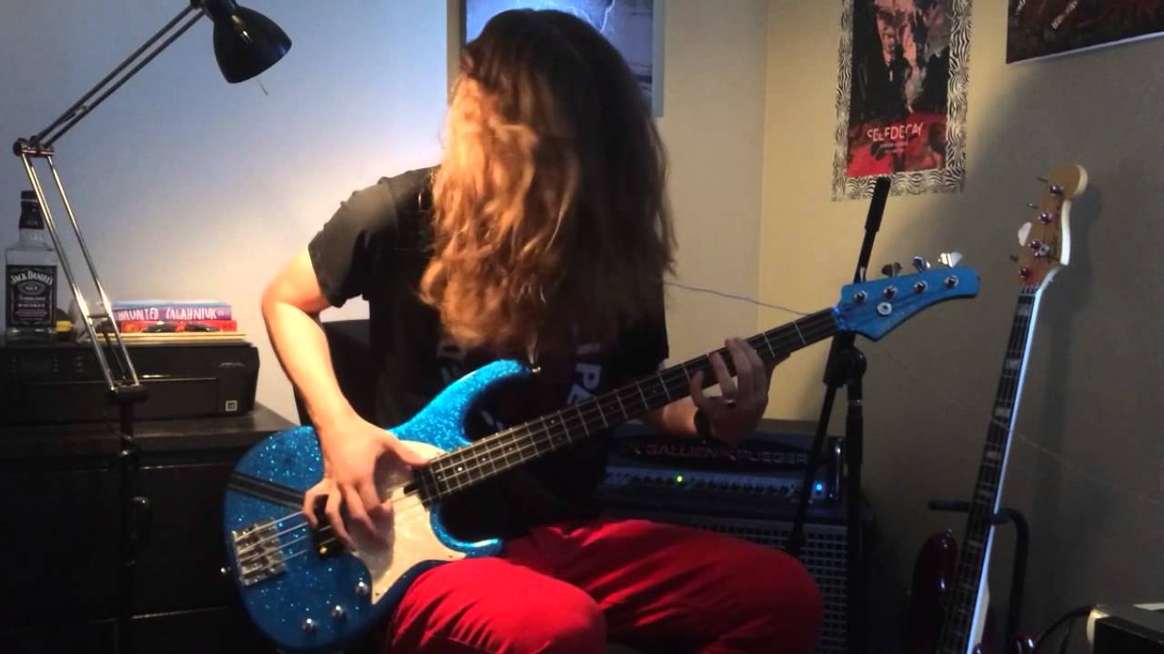 Red Hot Chili Peppers - Higher Ground (Bass Cover)