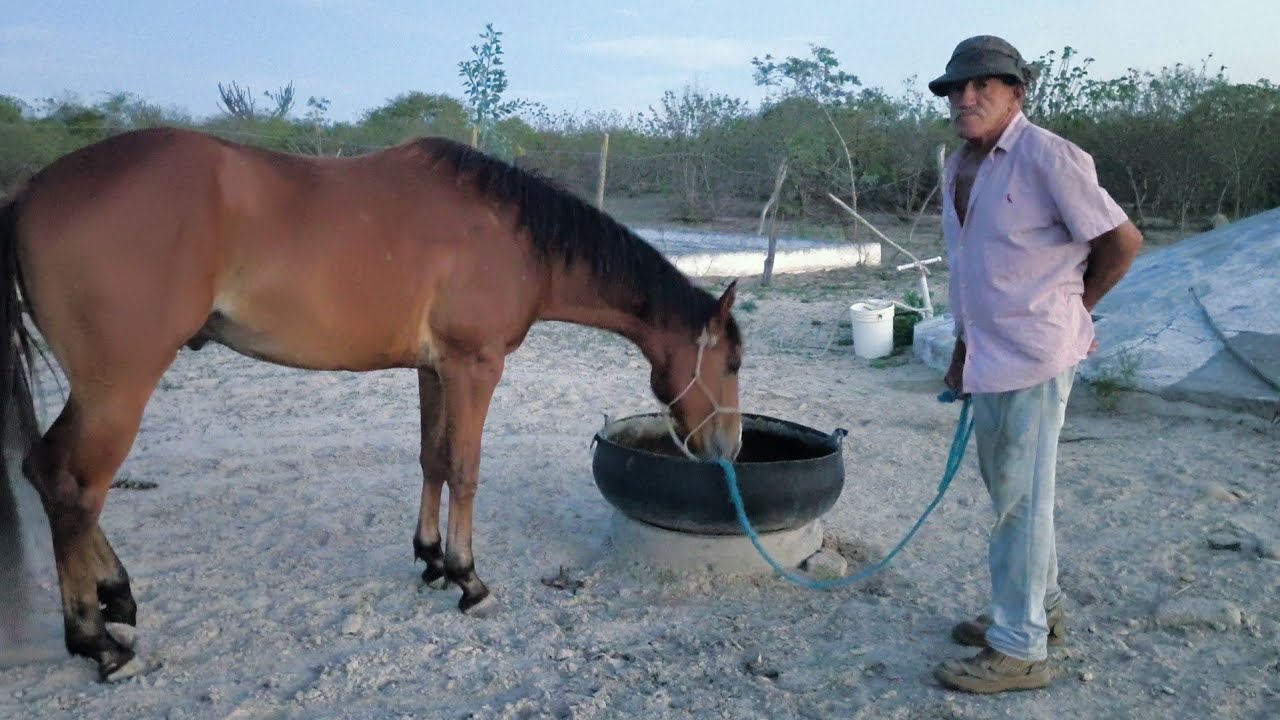 O VAQUEIRO JOÃO DÓRIA ESPERANDO AS CHUVAS ESTÁ JÁ CHEGANDO SOLEDADE PARAÍBA