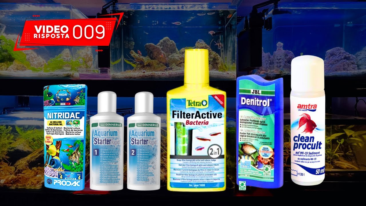 Attivatori batterici sono batteri vivi? Sono inutili? - VIDEO RISPOSTA 009