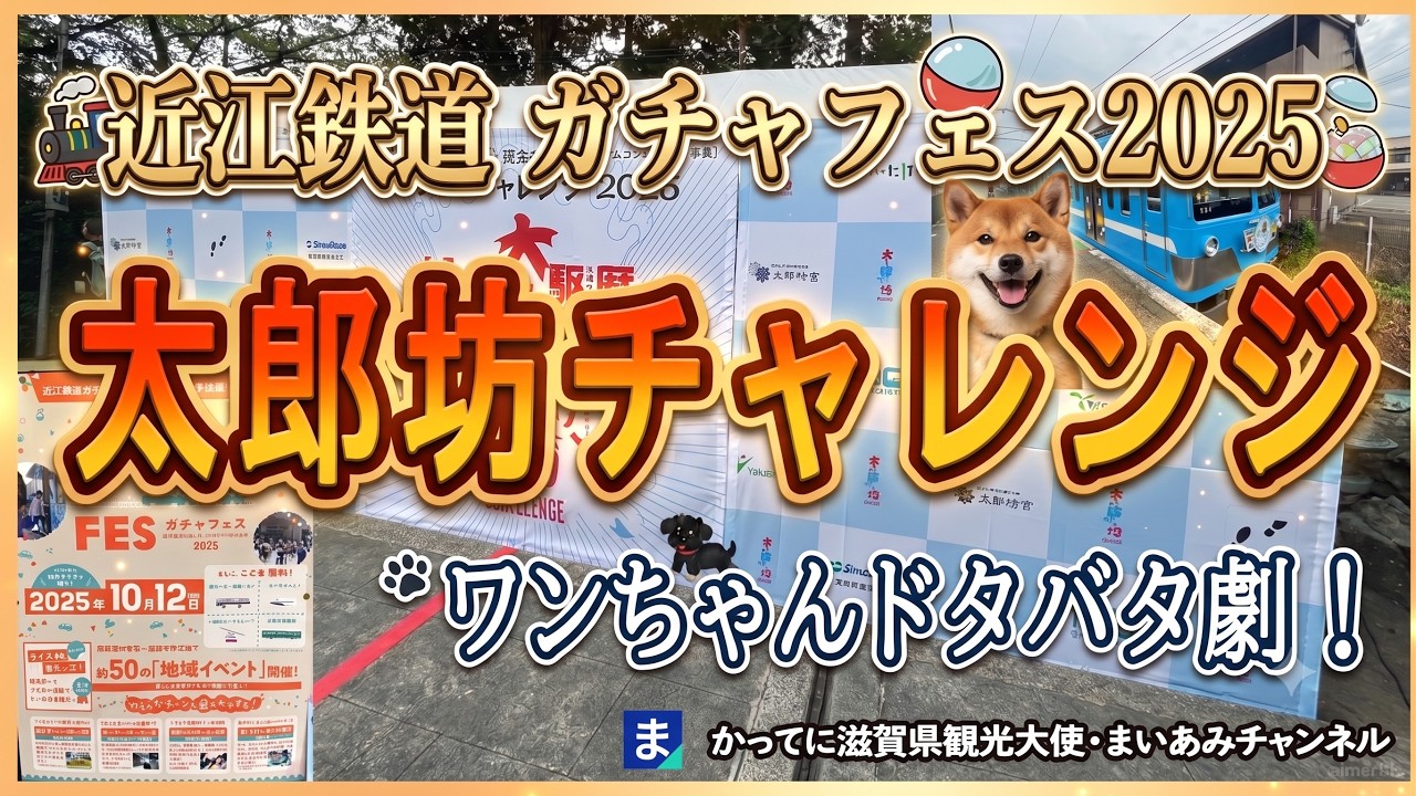 【近江鉄道】ガチャフェス2025・太郎坊チャレンジの様子【東近江市】