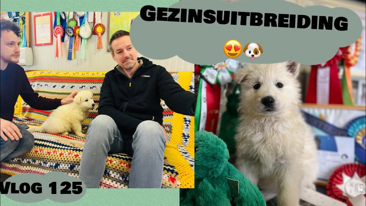 we gaan voor een hond kijken vlog 125