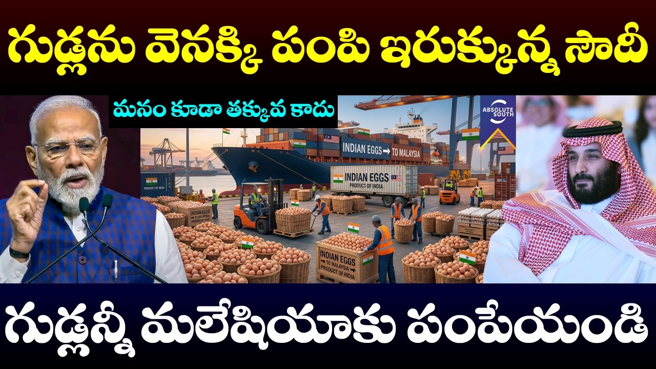 Saudi Egg Ban Backfires | Bharat Shifts Exports to Malaysia