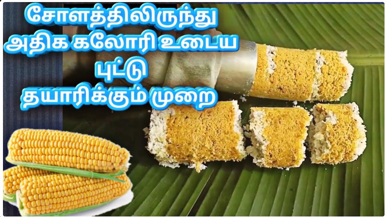 சுவை மிக்க இறுங்கு புட்டு | Morning Healthy Breakfast Recipe in Tamil | Corn | Makka Cholam puttu