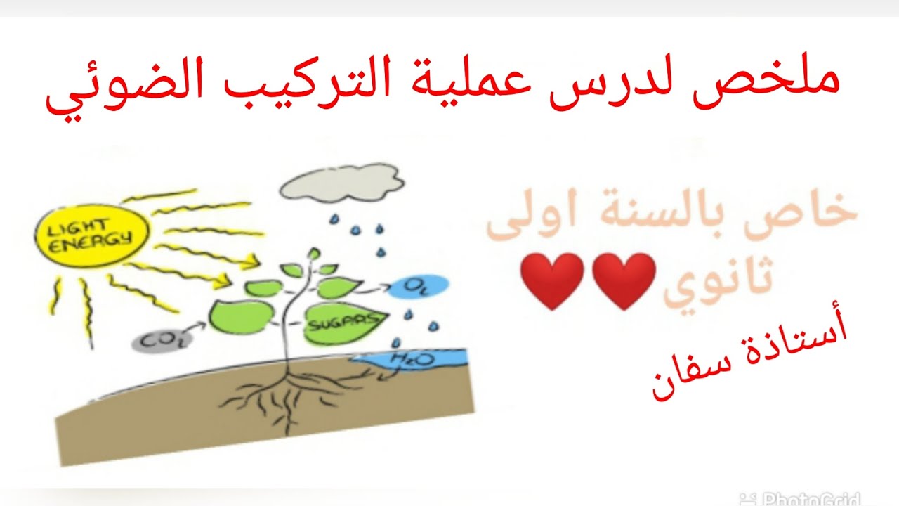 ملخص لدرس عملية التركيب الضوئي ❤ خاص بالسنة اولى ثانوي