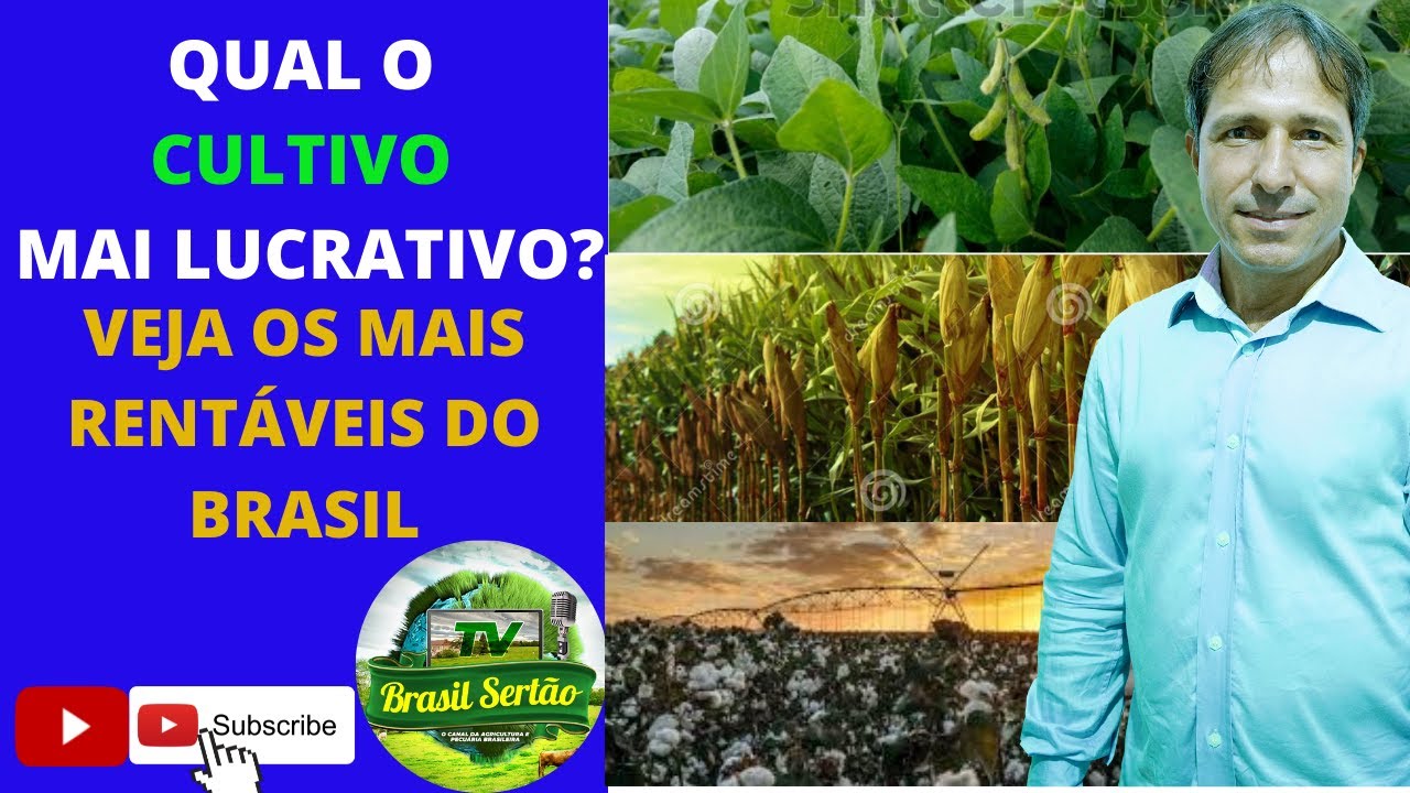 QUAL O CULTIVO MAIS LUCRATIVO? VEJA OS MAIS RENT&Aacute;VEIS DO BRASIL