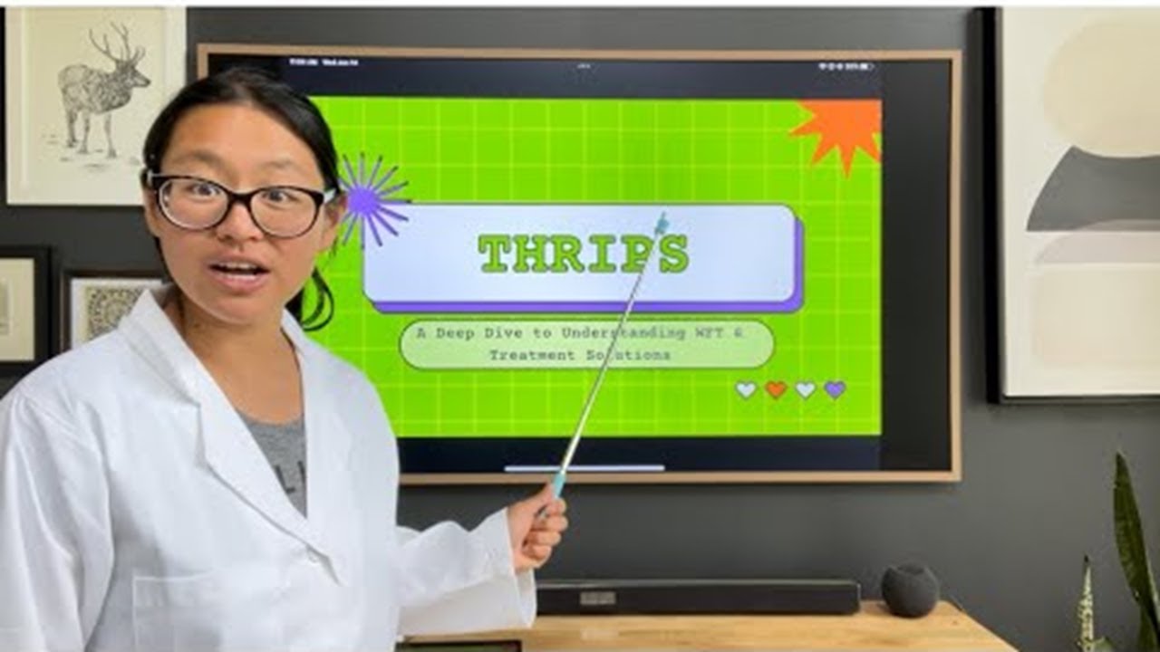 Thrips ruining your flowers? Here's what you need to know!