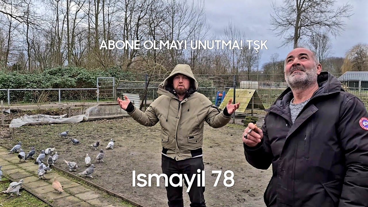 YARIM DÜNYA KUŞLARI!? ŞAMPİYON KÜMES!?