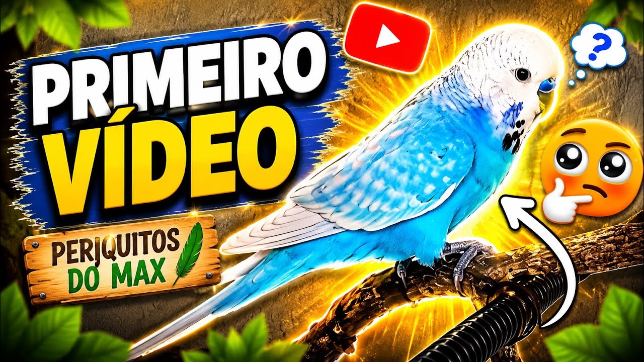 Começo da criação #periquitos #periquitosaustralianos #aves #birds #budgies @periquitosdomax 